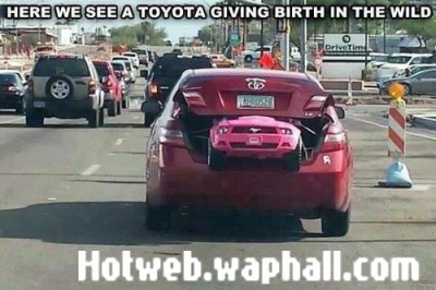 Toyota Birth hotweb.waphall funny pix 1
